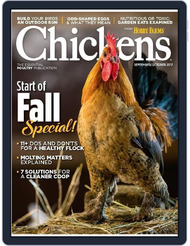Chickens September 1st, 2017 Digital Back Issue Cover