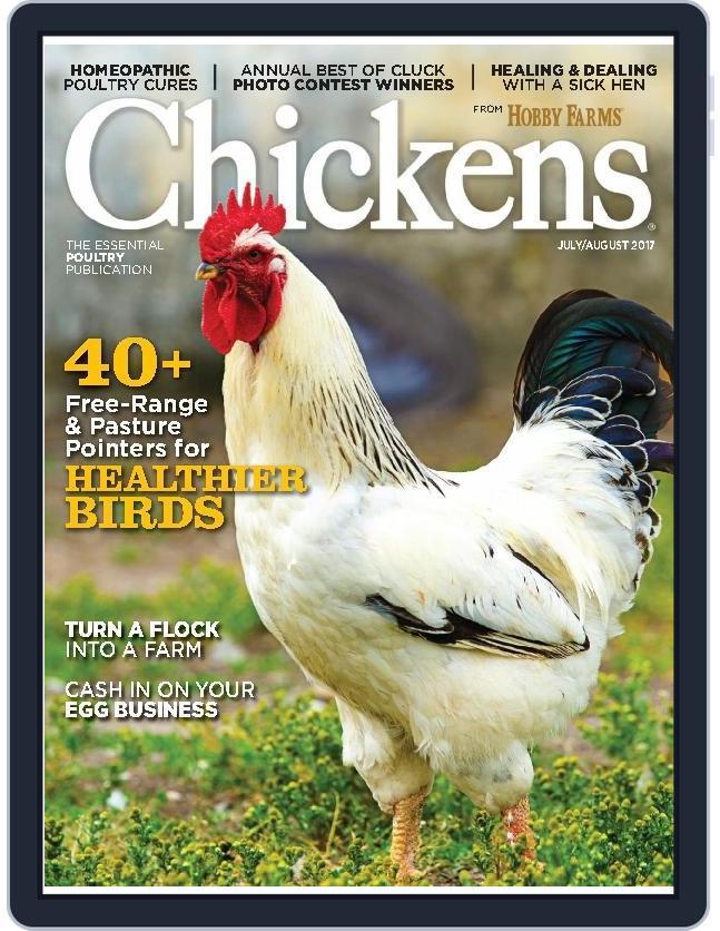 Chickens June 1st, 2017 Digital Back Issue Cover