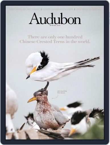 Audubon December 10th, 2019 Digital Back Issue Cover