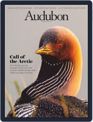 Audubon December 3rd, 2018 Digital Back Issue Cover