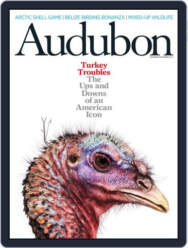 Audubon November 6th, 2013 Digital Back Issue Cover