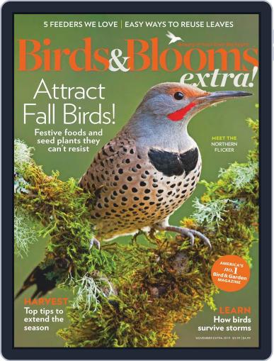 Birds and Blooms Extra November 1st, 2019 Digital Back Issue Cover
