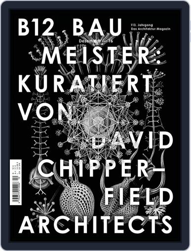 Baumeister December 1st, 2016 Digital Back Issue Cover