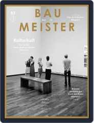 Baumeister (Digital) Subscription                    April 30th, 2013 Issue