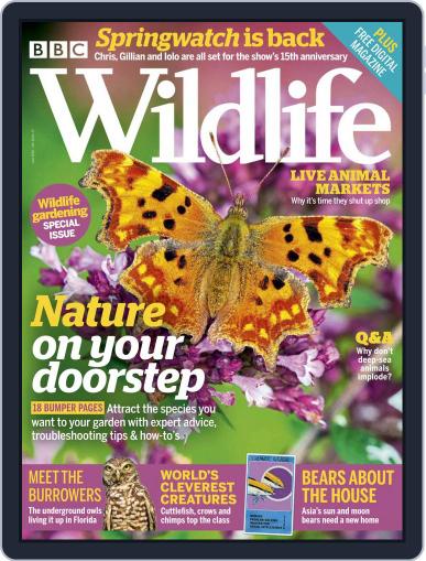 Bbc Wildlife June 1st, 2020 Digital Back Issue Cover
