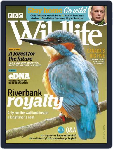 Bbc Wildlife May 1st, 2020 Digital Back Issue Cover