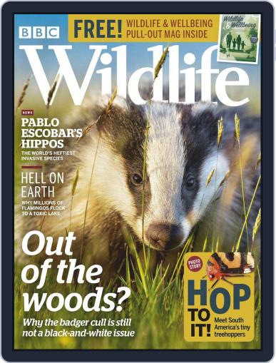 Bbc Wildlife April 15th, 2020 Digital Back Issue Cover