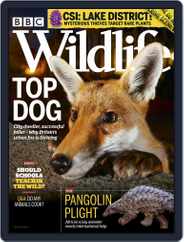 Bbc Wildlife (Digital) Subscription                    March 1st, 2020 Issue