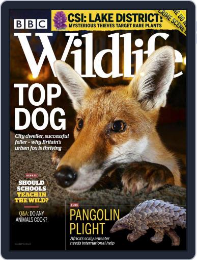 Bbc Wildlife March 1st, 2020 Digital Back Issue Cover