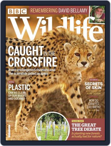 Bbc Wildlife February 1st, 2020 Digital Back Issue Cover