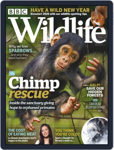 Bbc Wildlife January 1st, 2020 Digital Back Issue Cover
