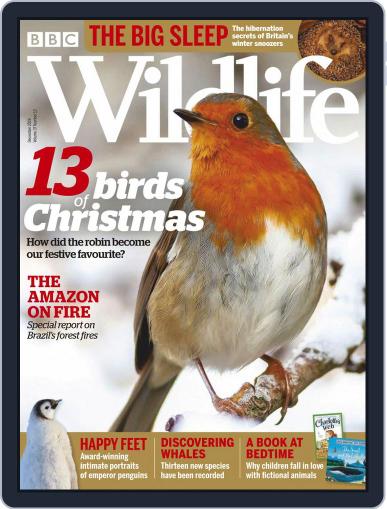 Bbc Wildlife December 1st, 2019 Digital Back Issue Cover