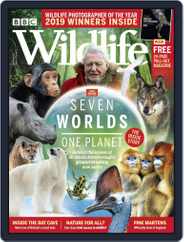 Bbc Wildlife (Digital) Subscription                    November 1st, 2019 Issue