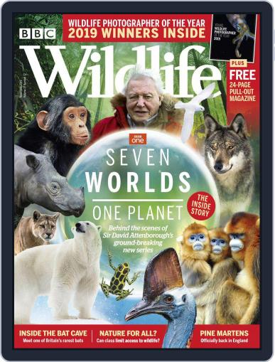 Bbc Wildlife November 1st, 2019 Digital Back Issue Cover