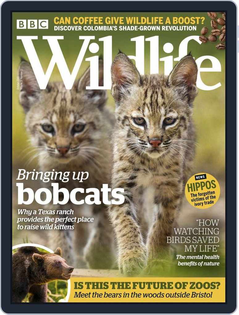 BBC Wildlife Magazine: nature, conservation and wildlife watching