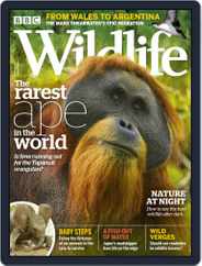 Bbc Wildlife (Digital) Subscription                    September 1st, 2019 Issue