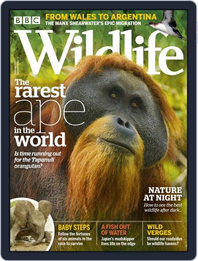 Bbc Wildlife September 1st, 2019 Digital Back Issue Cover