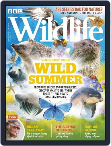 Bbc Wildlife August 1st, 2019 Digital Back Issue Cover