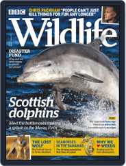 Bbc Wildlife (Digital) Subscription                    June 1st, 2019 Issue