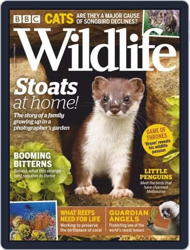 Bbc Wildlife April 2nd, 2019 Digital Back Issue Cover
