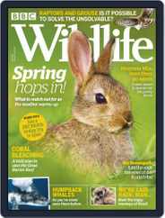 Bbc Wildlife (Digital) Subscription                    April 1st, 2019 Issue
