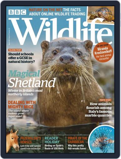 Bbc Wildlife March 1st, 2019 Digital Back Issue Cover