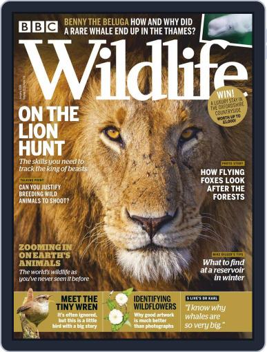 Bbc Wildlife January 1st, 2019 Digital Back Issue Cover