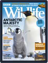 Bbc Wildlife (Digital) Subscription                    December 1st, 2018 Issue