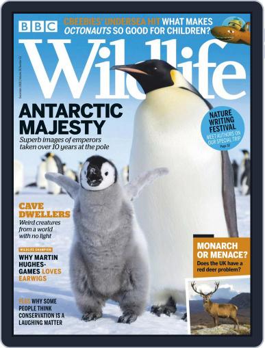 Bbc Wildlife December 1st, 2018 Digital Back Issue Cover