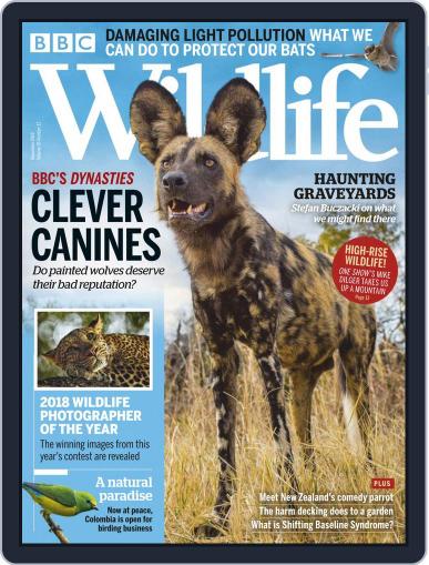 Bbc Wildlife November 1st, 2018 Digital Back Issue Cover