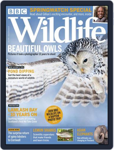 Bbc Wildlife June 1st, 2018 Digital Back Issue Cover