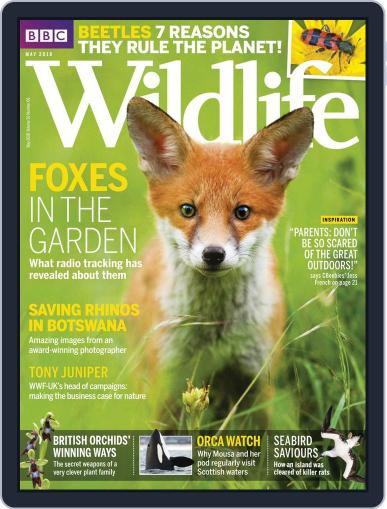 Bbc Wildlife May 1st, 2018 Digital Back Issue Cover