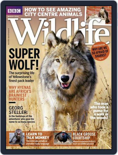Bbc Wildlife March 1st, 2018 Digital Back Issue Cover
