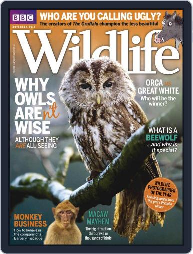Bbc Wildlife November 1st, 2017 Digital Back Issue Cover