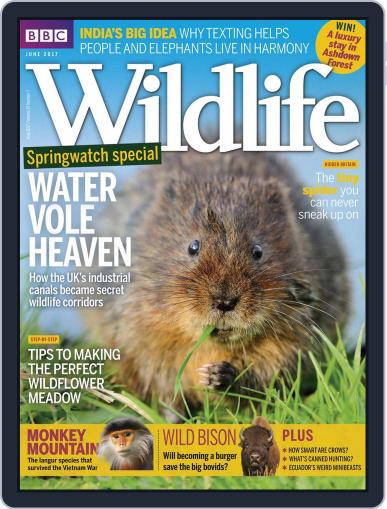 Bbc Wildlife June 1st, 2017 Digital Back Issue Cover