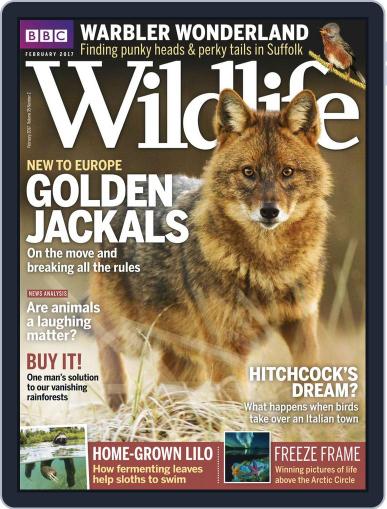 Bbc Wildlife February 1st, 2017 Digital Back Issue Cover