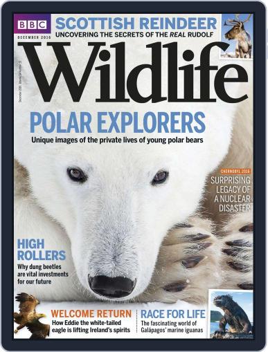 Bbc Wildlife December 1st, 2016 Digital Back Issue Cover
