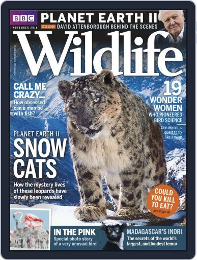 Bbc Wildlife November 1st, 2016 Digital Back Issue Cover