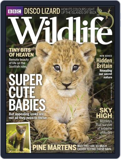 Bbc Wildlife October 1st, 2016 Digital Back Issue Cover