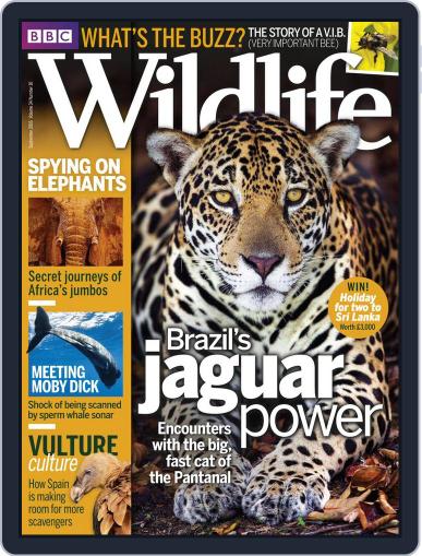 Bbc Wildlife September 1st, 2016 Digital Back Issue Cover