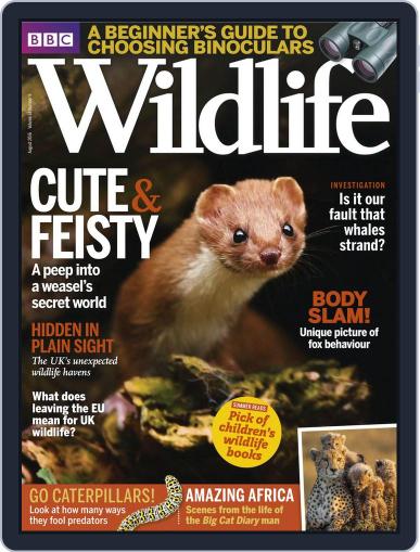Bbc Wildlife August 3rd, 2016 Digital Back Issue Cover