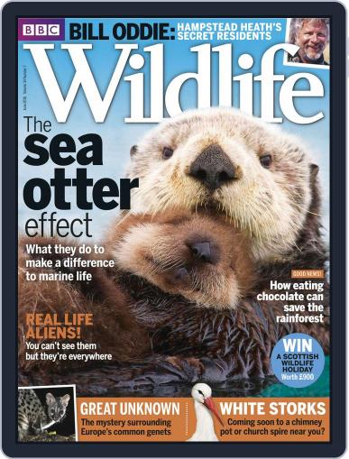 Bbc Wildlife June 8th, 2016 Digital Back Issue Cover
