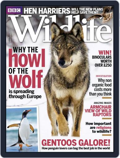 Bbc Wildlife February 17th, 2016 Digital Back Issue Cover