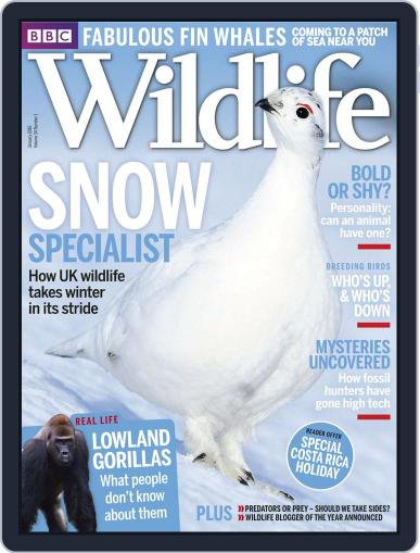 Bbc Wildlife January 1st, 2016 Digital Back Issue Cover