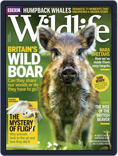 Bbc Wildlife December 1st, 2015 Digital Back Issue Cover