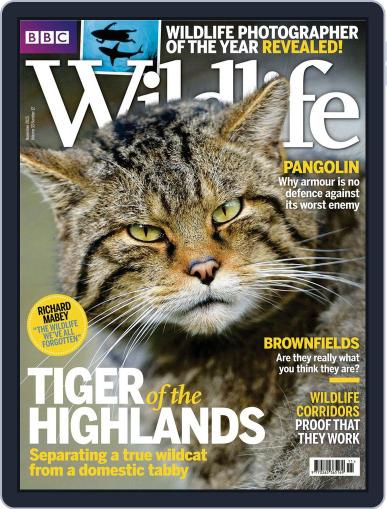 Bbc Wildlife November 1st, 2015 Digital Back Issue Cover