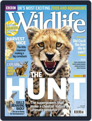 Bbc Wildlife October 1st, 2015 Digital Back Issue Cover