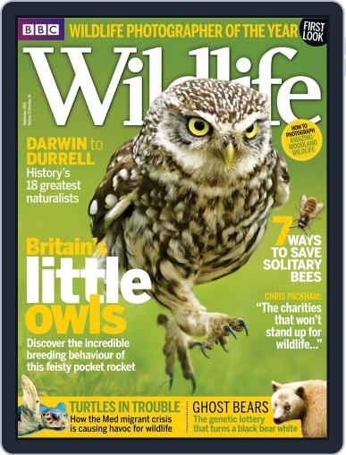 Bbc Wildlife September 1st, 2015 Digital Back Issue Cover