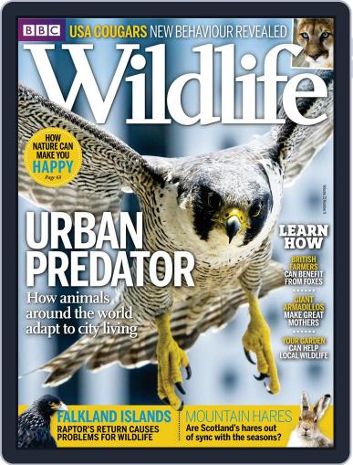 Bbc Wildlife August 1st, 2015 Digital Back Issue Cover