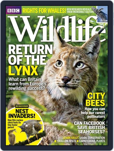 Bbc Wildlife April 14th, 2015 Digital Back Issue Cover